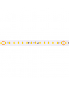 24876203