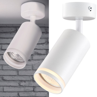 Množstvo v kartóne (ks)