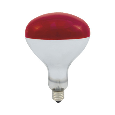 Množstvo v kartóne (ks)