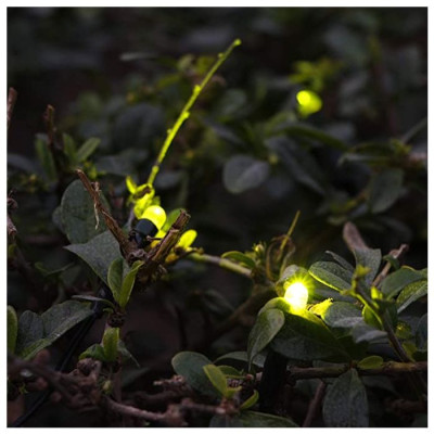 Množstvo v balení (ks)